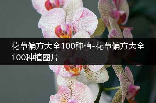 花草偏方大全100种植-花草偏方大全100种植图片