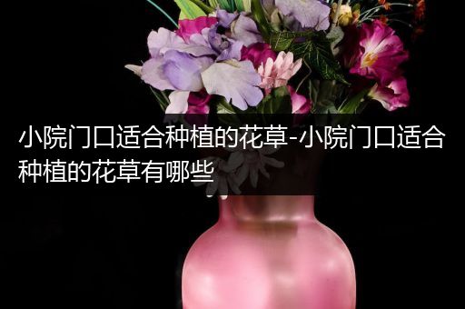小院门口适合种植的花草-小院门口适合种植的花草有哪些