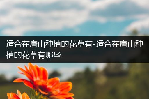 适合在唐山种植的花草有-适合在唐山种植的花草有哪些