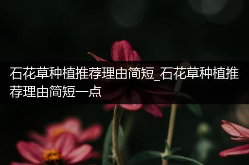 石花草种植推荐理由简短_石花草种植推荐理由简短一点