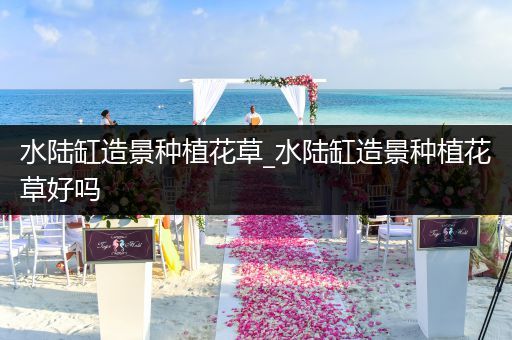 水陆缸造景种植花草_水陆缸造景种植花草好吗