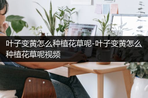 叶子变黄怎么种植花草呢-叶子变黄怎么种植花草呢视频