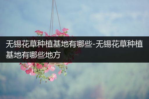 无锡花草种植基地有哪些-无锡花草种植基地有哪些地方