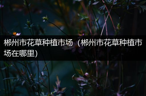 郴州市花草种植市场（郴州市花草种植市场在哪里）
