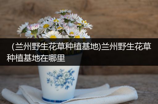 （兰州野生花草种植基地)兰州野生花草种植基地在哪里