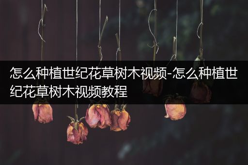 怎么种植世纪花草树木视频-怎么种植世纪花草树木视频教程