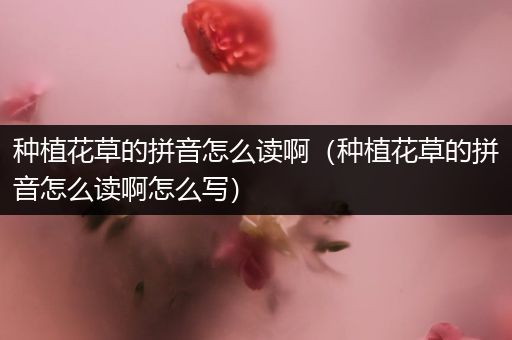 种植花草的拼音怎么读啊（种植花草的拼音怎么读啊怎么写）