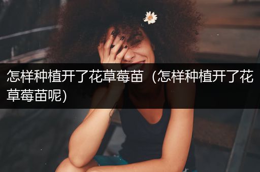 怎样种植开了花草莓苗（怎样种植开了花草莓苗呢）