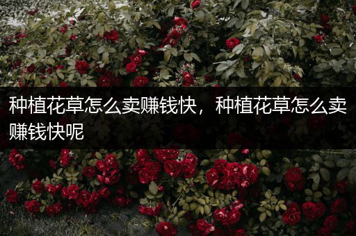 种植花草怎么卖赚钱快，种植花草怎么卖赚钱快呢