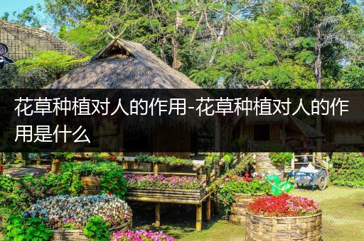 花草种植对人的作用-花草种植对人的作用是什么