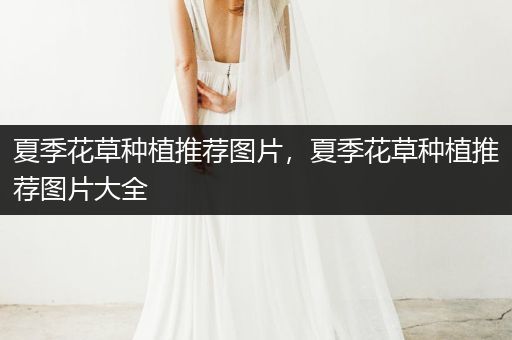 夏季花草种植推荐图片，夏季花草种植推荐图片大全