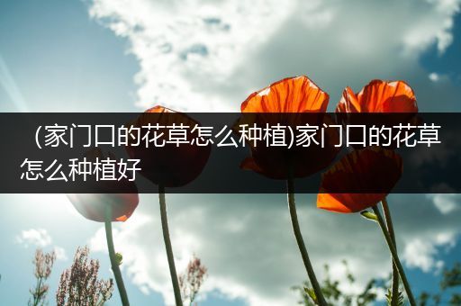 （家门口的花草怎么种植)家门口的花草怎么种植好