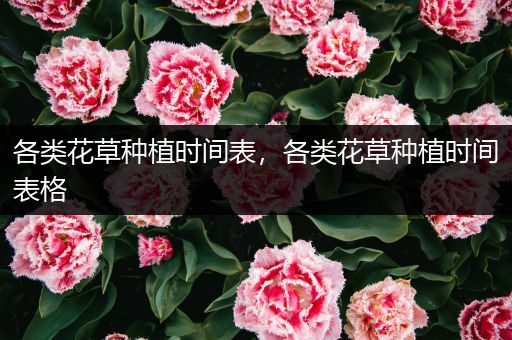 各类花草种植时间表，各类花草种植时间表格
