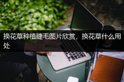 换花草种植睫毛图片欣赏，换花草什么用处