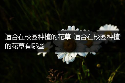 适合在校园种植的花草-适合在校园种植的花草有哪些