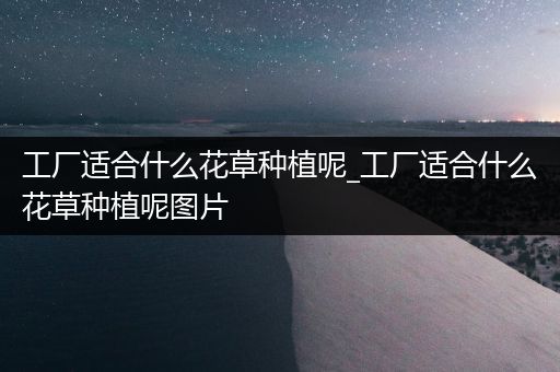工厂适合什么花草种植呢_工厂适合什么花草种植呢图片