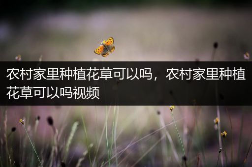 农村家里种植花草可以吗，农村家里种植花草可以吗视频