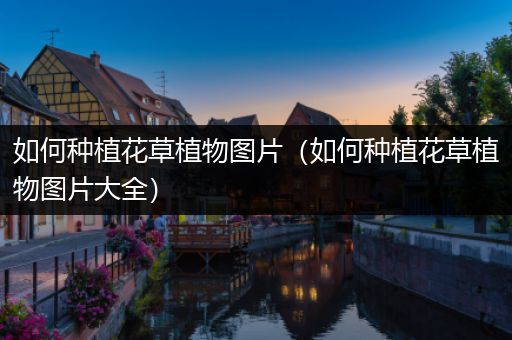 如何种植花草植物图片（如何种植花草植物图片大全）