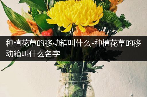 种植花草的移动箱叫什么-种植花草的移动箱叫什么名字