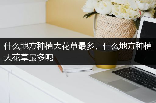 什么地方种植大花草最多，什么地方种植大花草最多呢