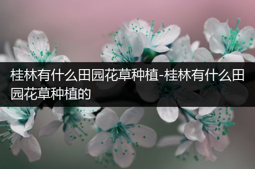 桂林有什么田园花草种植-桂林有什么田园花草种植的