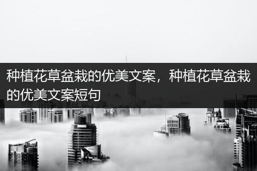 种植花草盆栽的优美文案，种植花草盆栽的优美文案短句