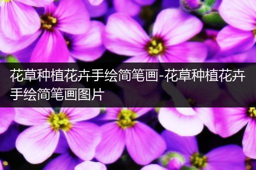 花草种植花卉手绘简笔画-花草种植花卉手绘简笔画图片