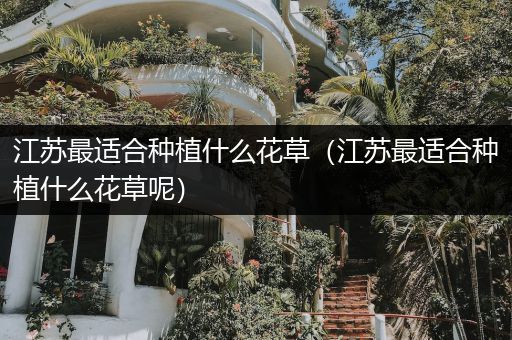 江苏最适合种植什么花草（江苏最适合种植什么花草呢）