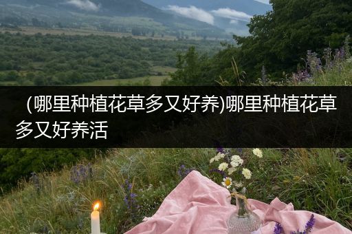 （哪里种植花草多又好养)哪里种植花草多又好养活
