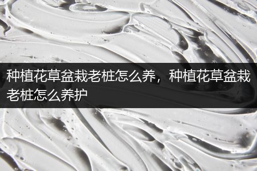 种植花草盆栽老桩怎么养，种植花草盆栽老桩怎么养护