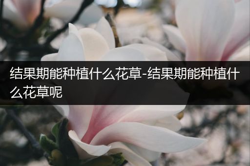 结果期能种植什么花草-结果期能种植什么花草呢
