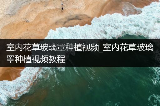 室内花草玻璃罩种植视频_室内花草玻璃罩种植视频教程