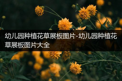 幼儿园种植花草展板图片-幼儿园种植花草展板图片大全