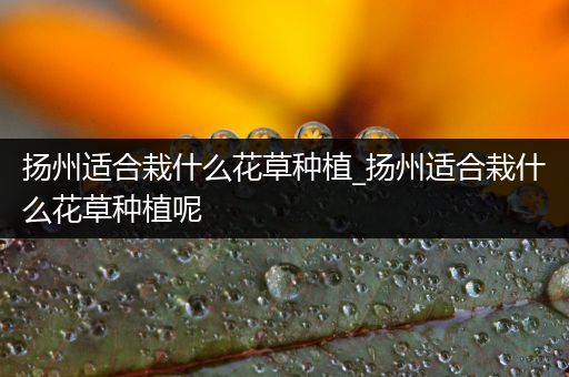 扬州适合栽什么花草种植_扬州适合栽什么花草种植呢