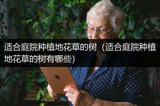 适合庭院种植地花草的树（适合庭院种植地花草的树有哪些）