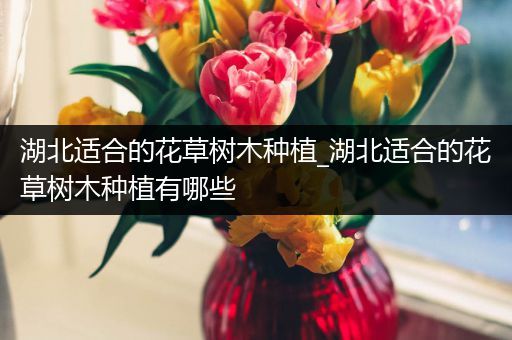 湖北适合的花草树木种植_湖北适合的花草树木种植有哪些