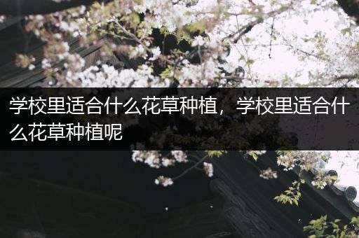 学校里适合什么花草种植，学校里适合什么花草种植呢