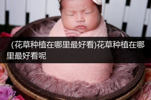 （花草种植在哪里最好看)花草种植在哪里最好看呢