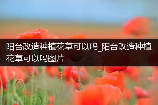 阳台改造种植花草可以吗_阳台改造种植花草可以吗图片