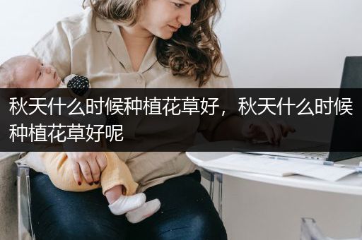 秋天什么时候种植花草好，秋天什么时候种植花草好呢