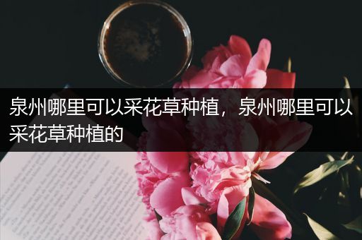 泉州哪里可以采花草种植，泉州哪里可以采花草种植的