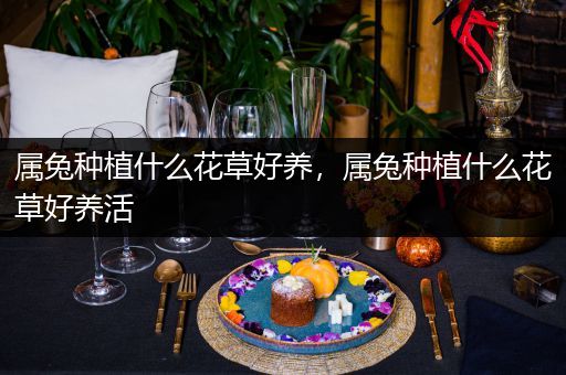 属兔种植什么花草好养，属兔种植什么花草好养活