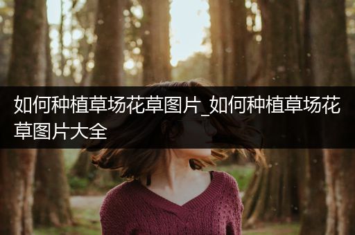 如何种植草场花草图片_如何种植草场花草图片大全