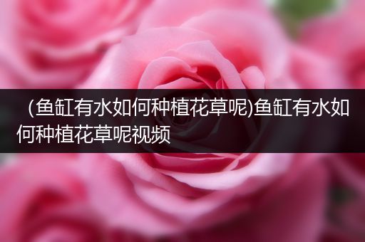 （鱼缸有水如何种植花草呢)鱼缸有水如何种植花草呢视频