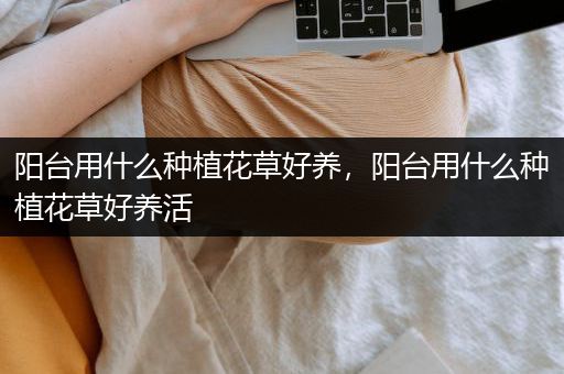 阳台用什么种植花草好养，阳台用什么种植花草好养活