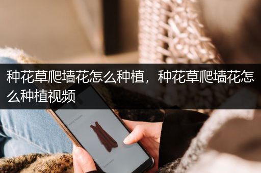 种花草爬墙花怎么种植，种花草爬墙花怎么种植视频