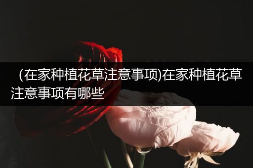 （在家种植花草注意事项)在家种植花草注意事项有哪些