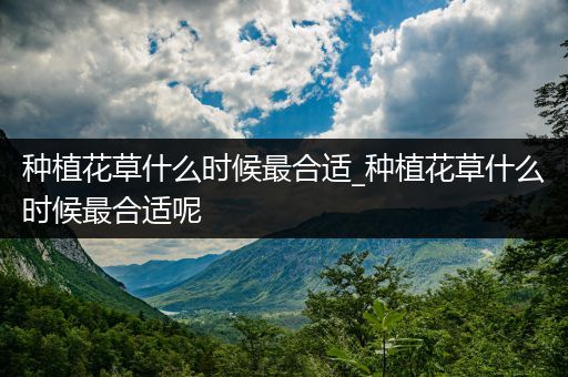 种植花草什么时候最合适_种植花草什么时候最合适呢