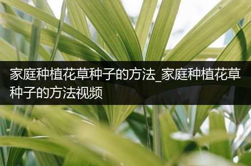 家庭种植花草种子的方法_家庭种植花草种子的方法视频