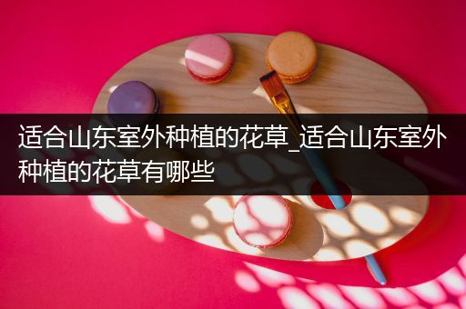 适合山东室外种植的花草_适合山东室外种植的花草有哪些